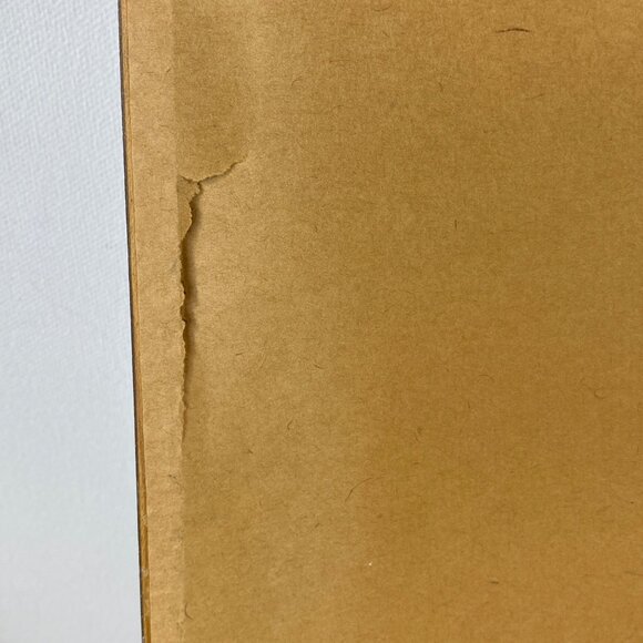 Vintage Handmade Amish Folk Barnraising Framed Cross Stitch 18.5"x14" - Picture 9 of 9